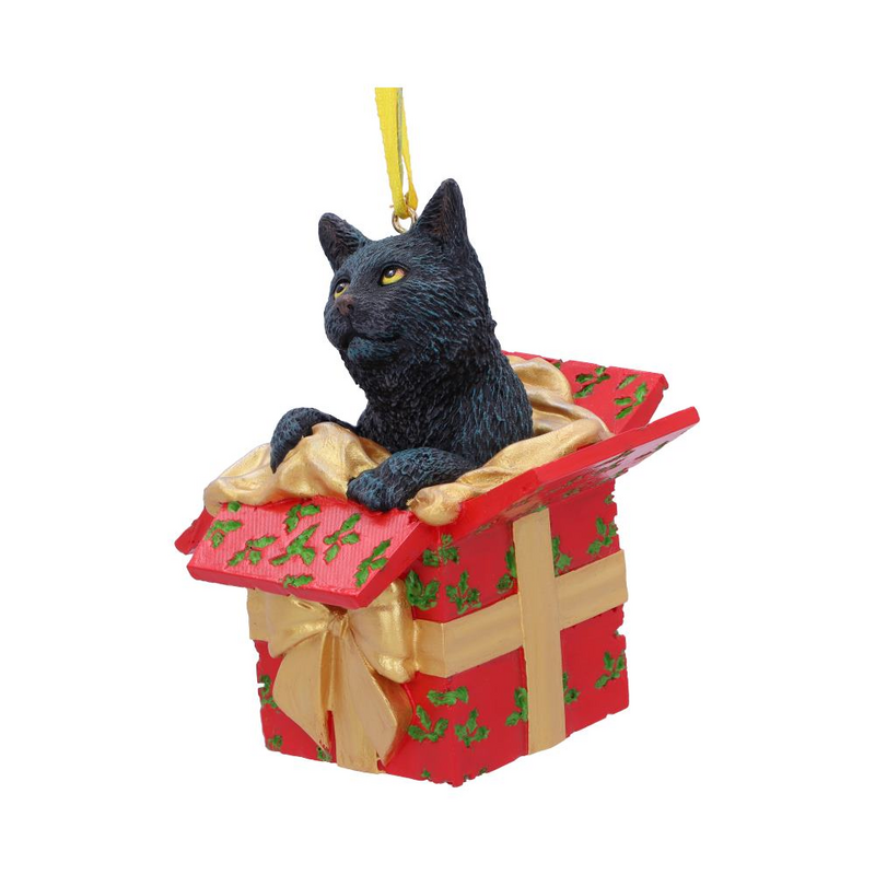 Boules  de Nemesis Now - Present Cat - pour Unisexe - Standard - Nemesis Now - View 2