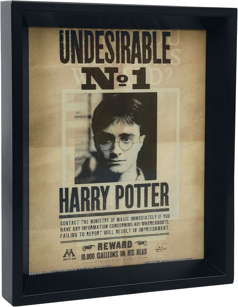 Poster  de Harry Potter - Image 3D Potter/Sirius - pour Unisexe - multicolore - Harry Potter