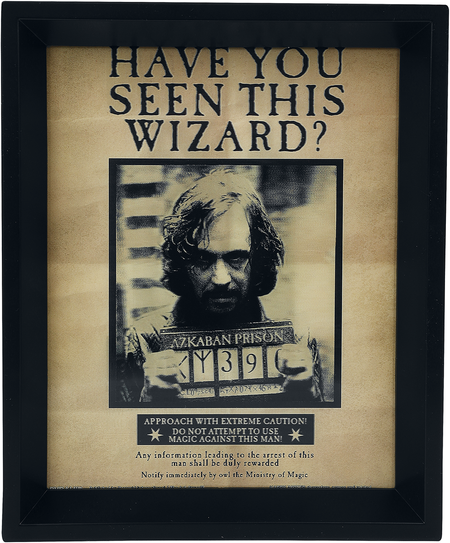 Poster  de Harry Potter - Image 3D Potter/Sirius - pour Unisexe - multicolore - Harry Potter - View 2