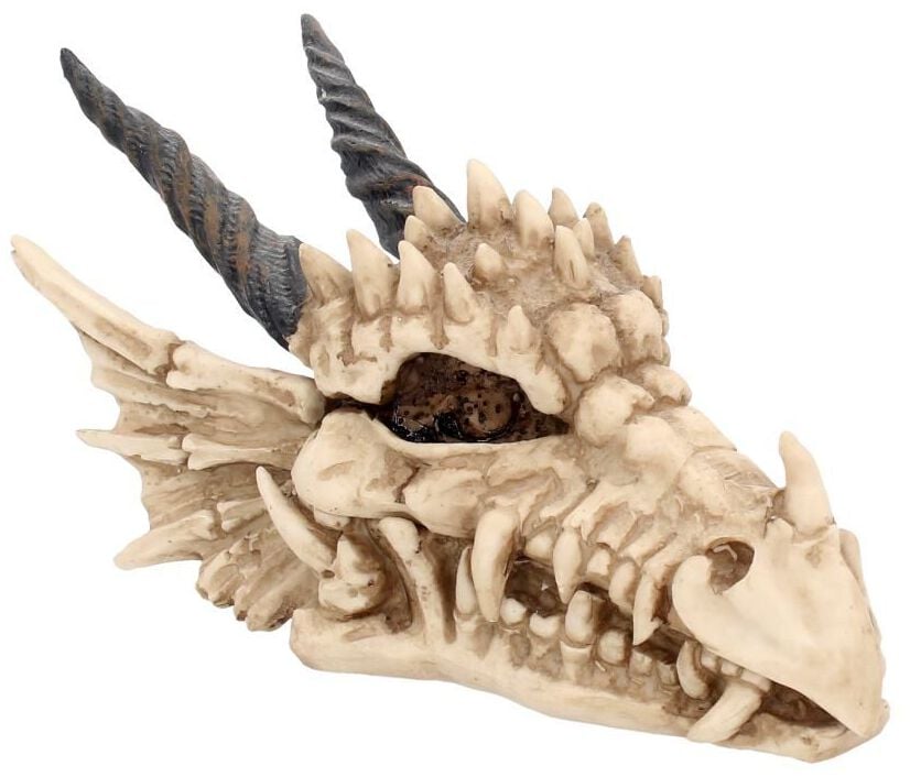Articles De Décoration Gothic de Nemesis Now - Boîte Dragon Skull - pour Unisexe - Standard - Nemesis Now