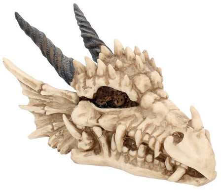 Articles De Décoration Gothic de Nemesis Now - Boîte Dragon Skull - pour Unisexe - Standard - Nemesis Now