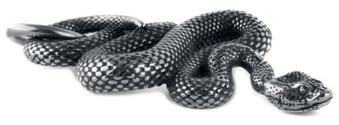 Collier  de etNox - Schlange - pour Femme - couleur argent - etNox - View 2