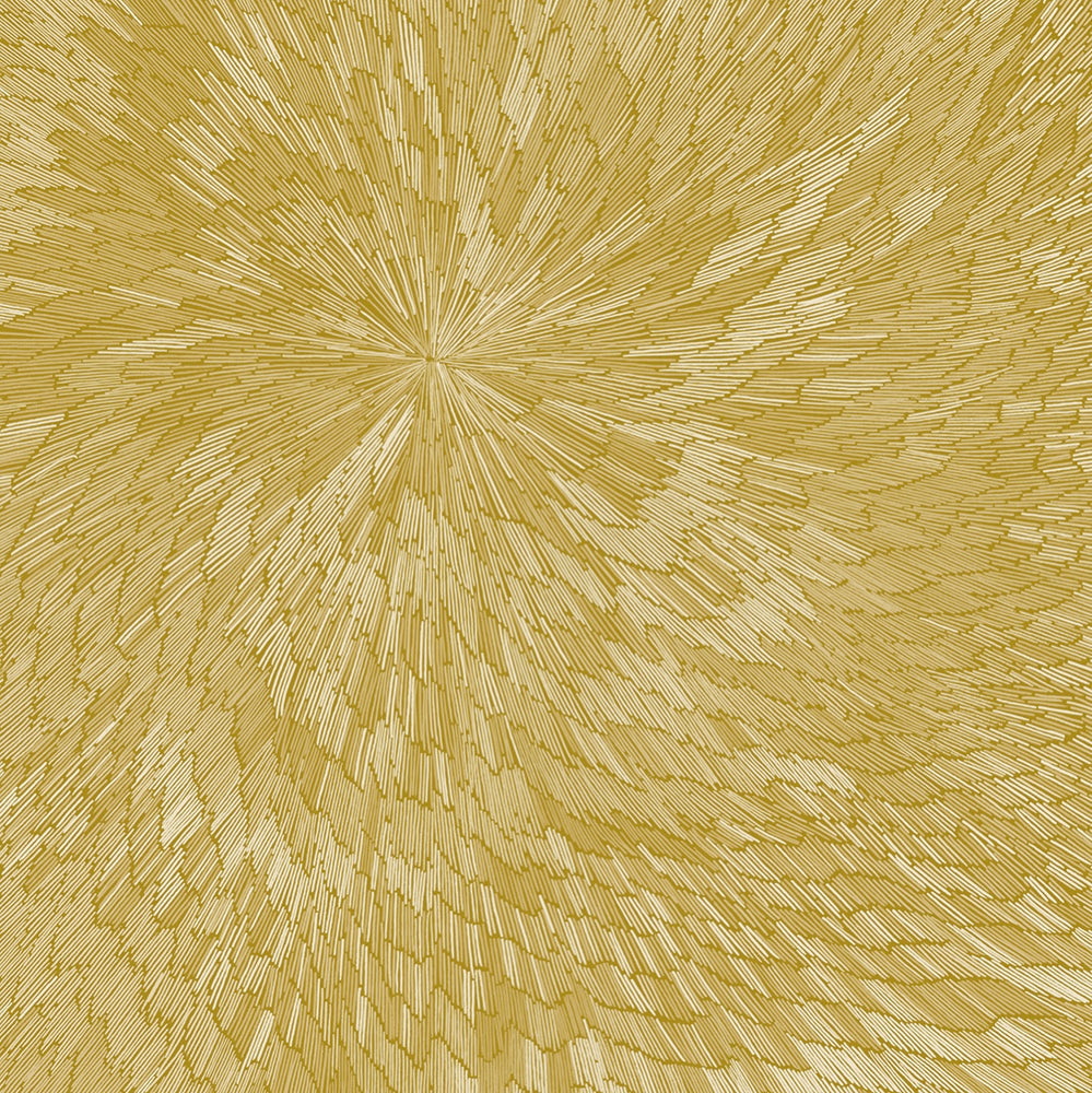 Medna Roso (Vinyle - Édition Or) / PJEV - Kit Downes - Hayden Chishom - Front Cover