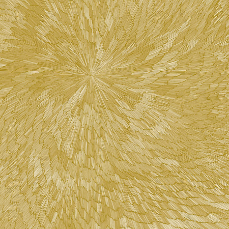 Medna Roso (Vinyle - Édition Or) / PJEV - Kit Downes - Hayden Chishom - Front Cover