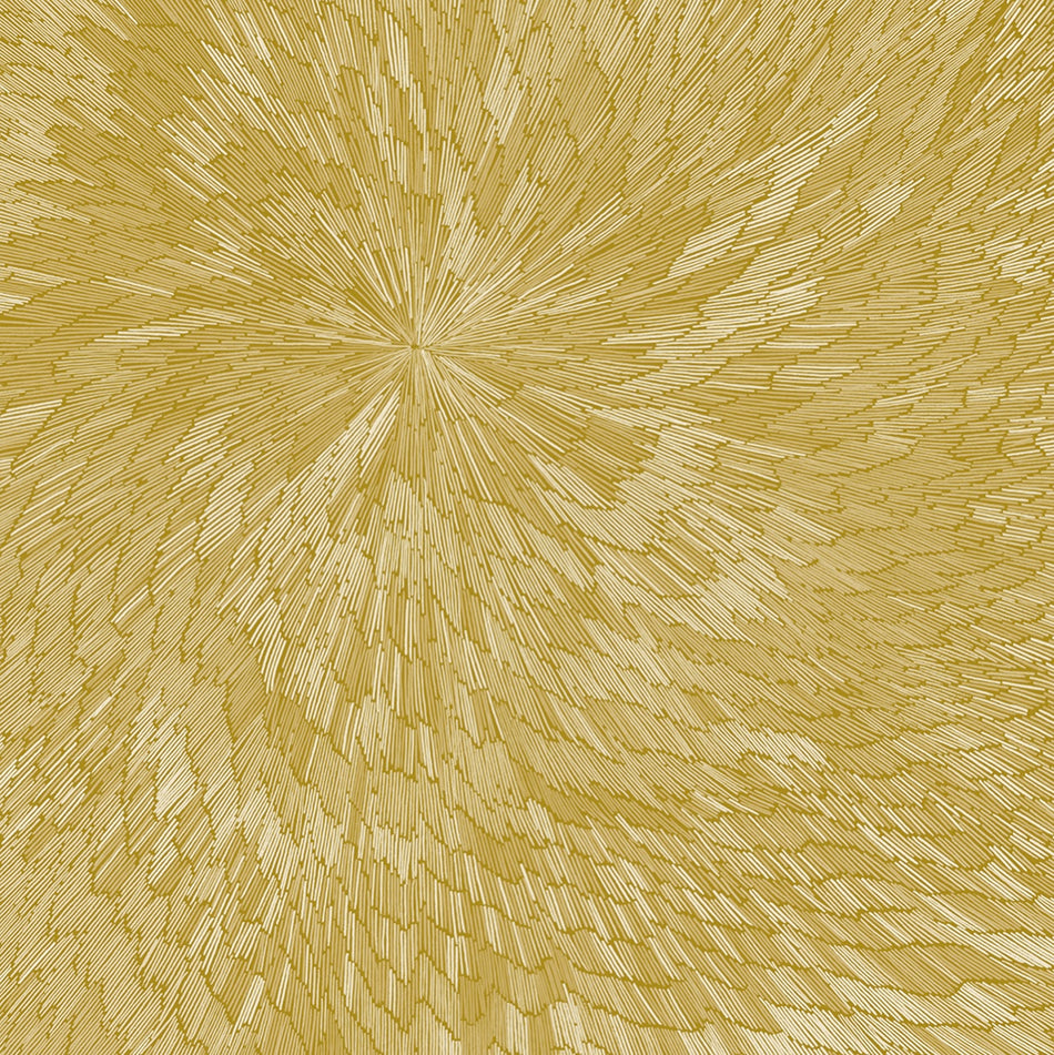 Medna Roso (Vinyle - Édition Or) / PJEV - Kit Downes - Hayden Chishom - Front Cover