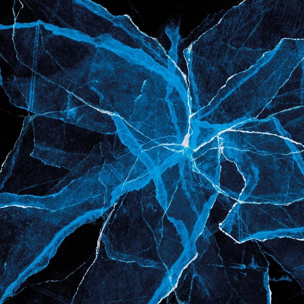 Shards - Front Cover