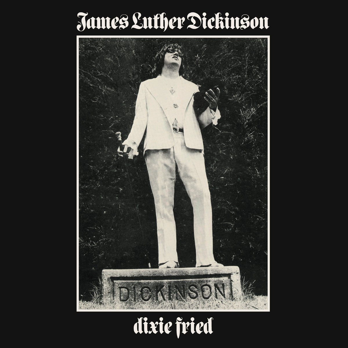 DIXIE FRIED -REISSUE- - Front Cover