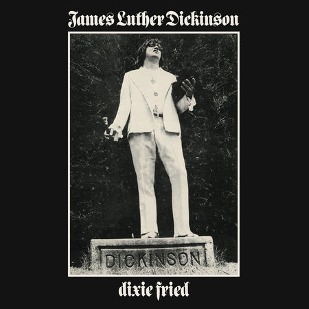 DIXIE FRIED -REISSUE- - Front Cover