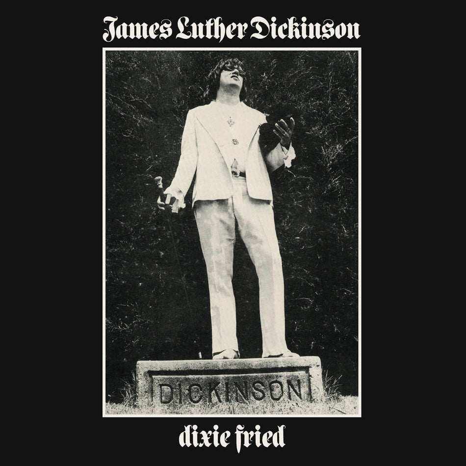 DIXIE FRIED -REISSUE- - Front Cover
