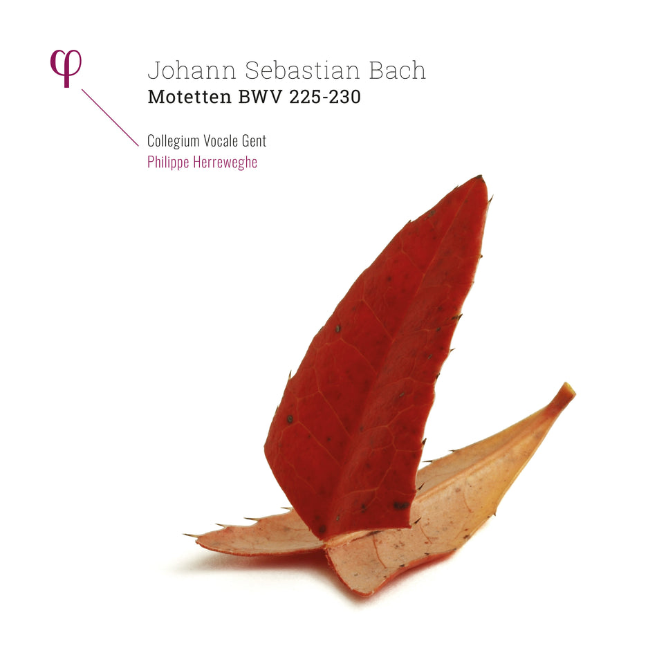 Motets BWV 225 a 230 - Front Cover