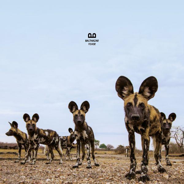 Fever - Front Cover