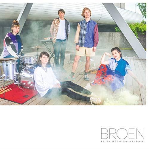 Do You See The Falling Leaves? - Front Cover