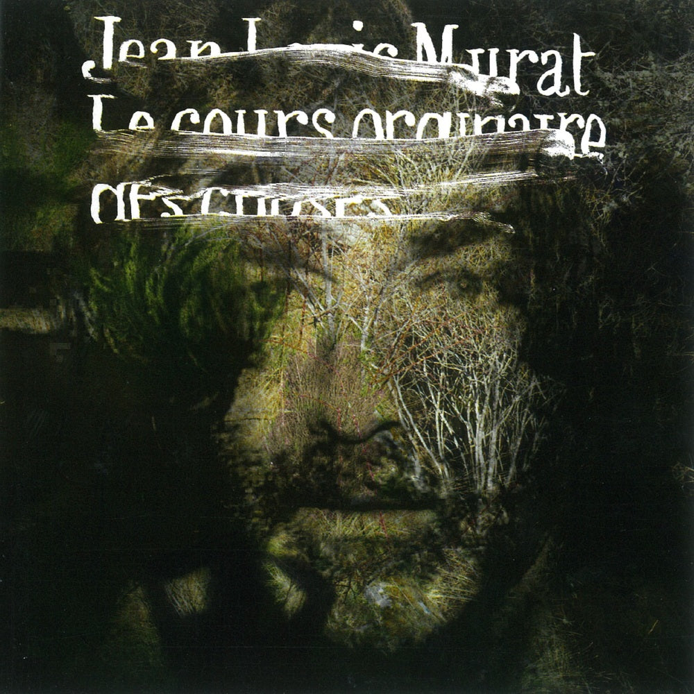 Le Cours Ordinaire Des Choses - Front Cover