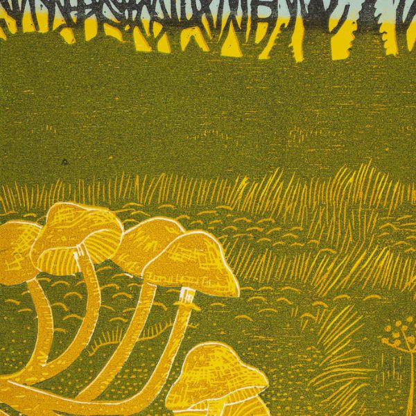 Rural Tapes - Front Cover