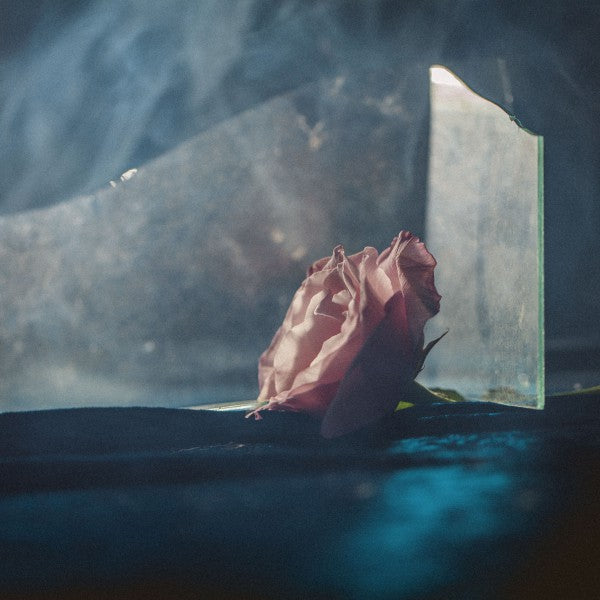 In Virus Times - Front Cover