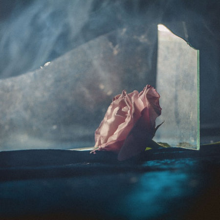 In Virus Times - Front Cover