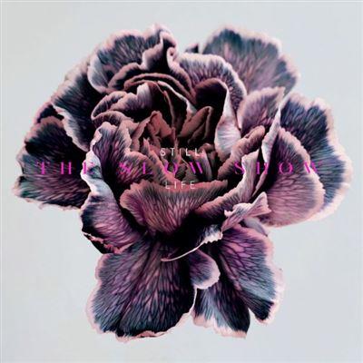 Still Life - Front Cover