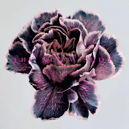 STILL LIFE - Front Cover