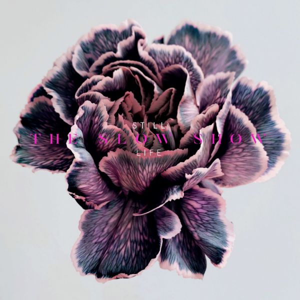 STILL LIFE - Front Cover