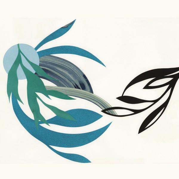 The Natural Lines - Front Cover