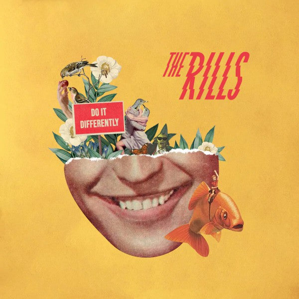 Do It Differently - Front Cover
