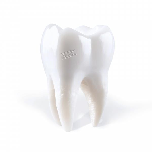 Teething - Front Cover
