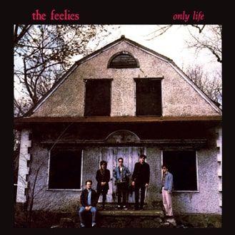 Only Life - Front Cover