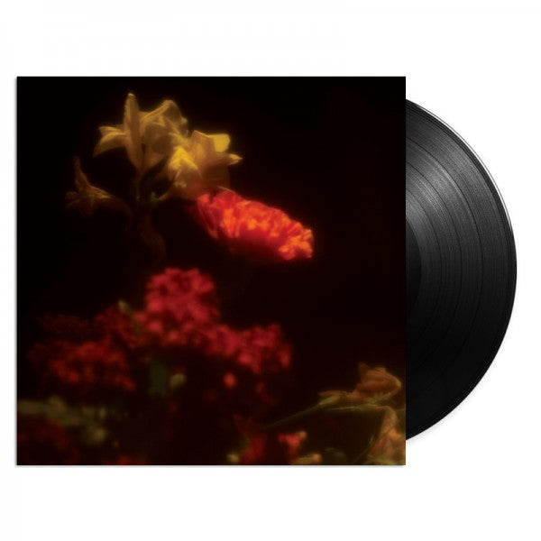 Hypnagogie - Front Cover