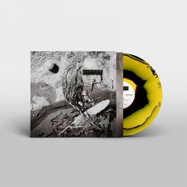 Secrets Of The Beehive - Front Cover