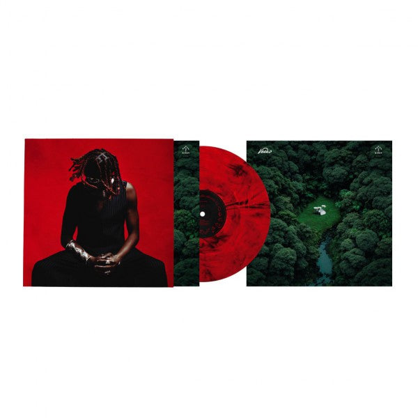 HOUSE OF BIRDS - Back Cover