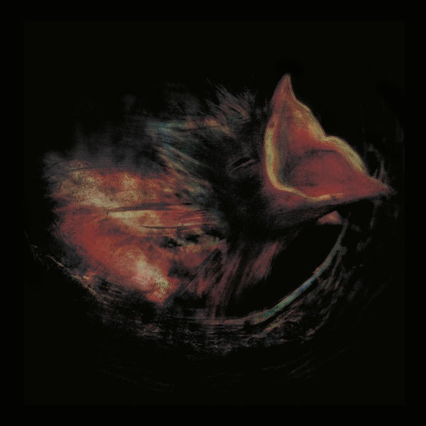 Nobody's Coming To Save You - Front Cover