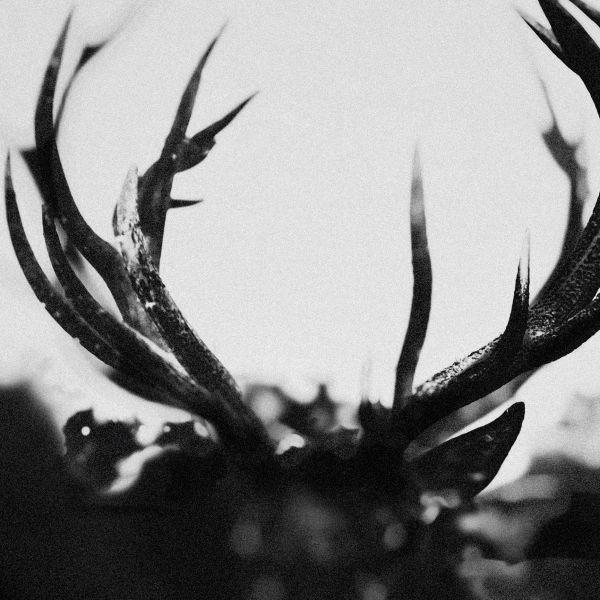 Ihsahn - Front Cover