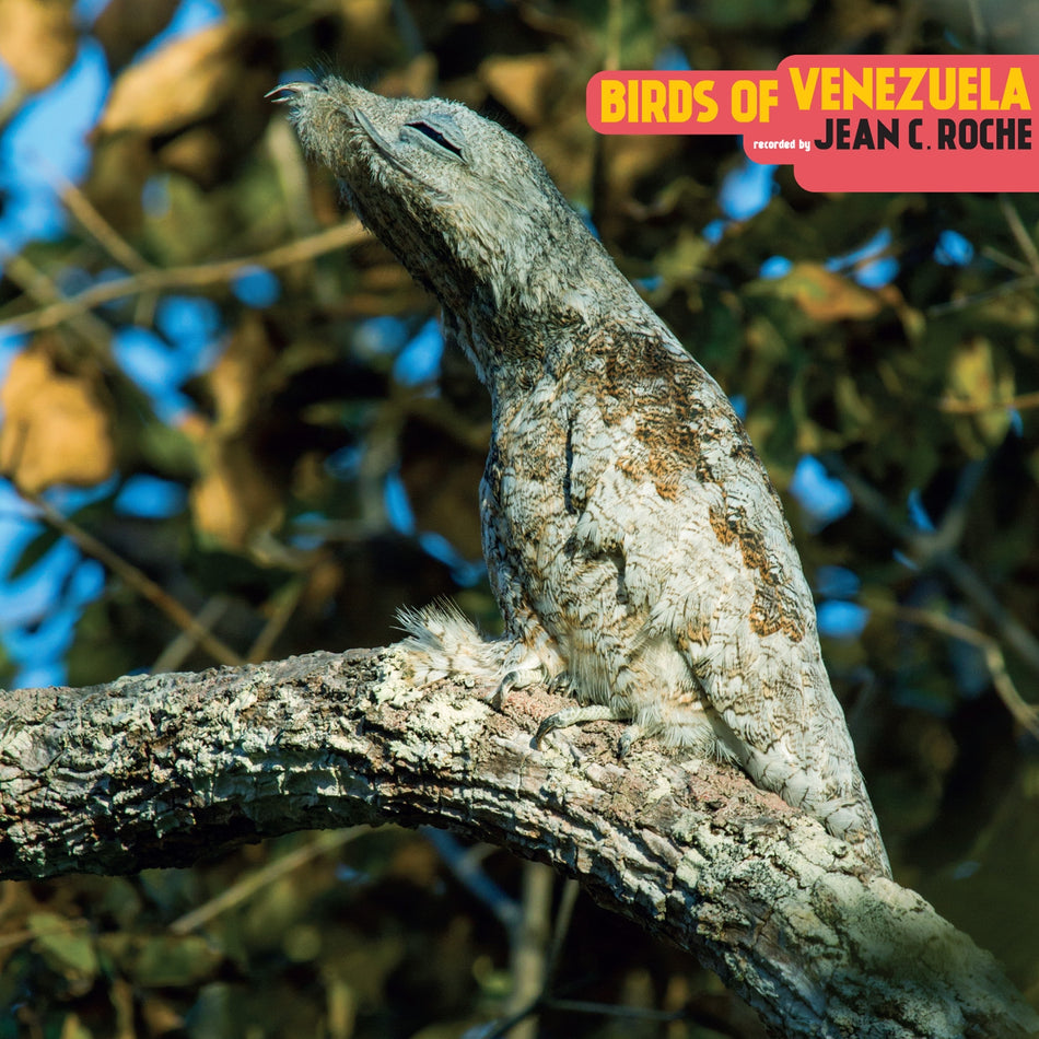 Birds Of Venezuela/Introduction By David Toop - Front Cover