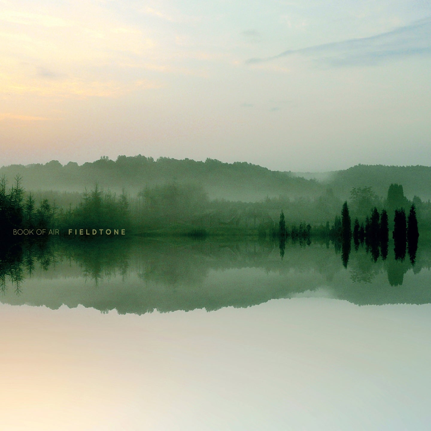 Fieldtone/Gatefold Sleeve/Vinyle Noir - Front Cover