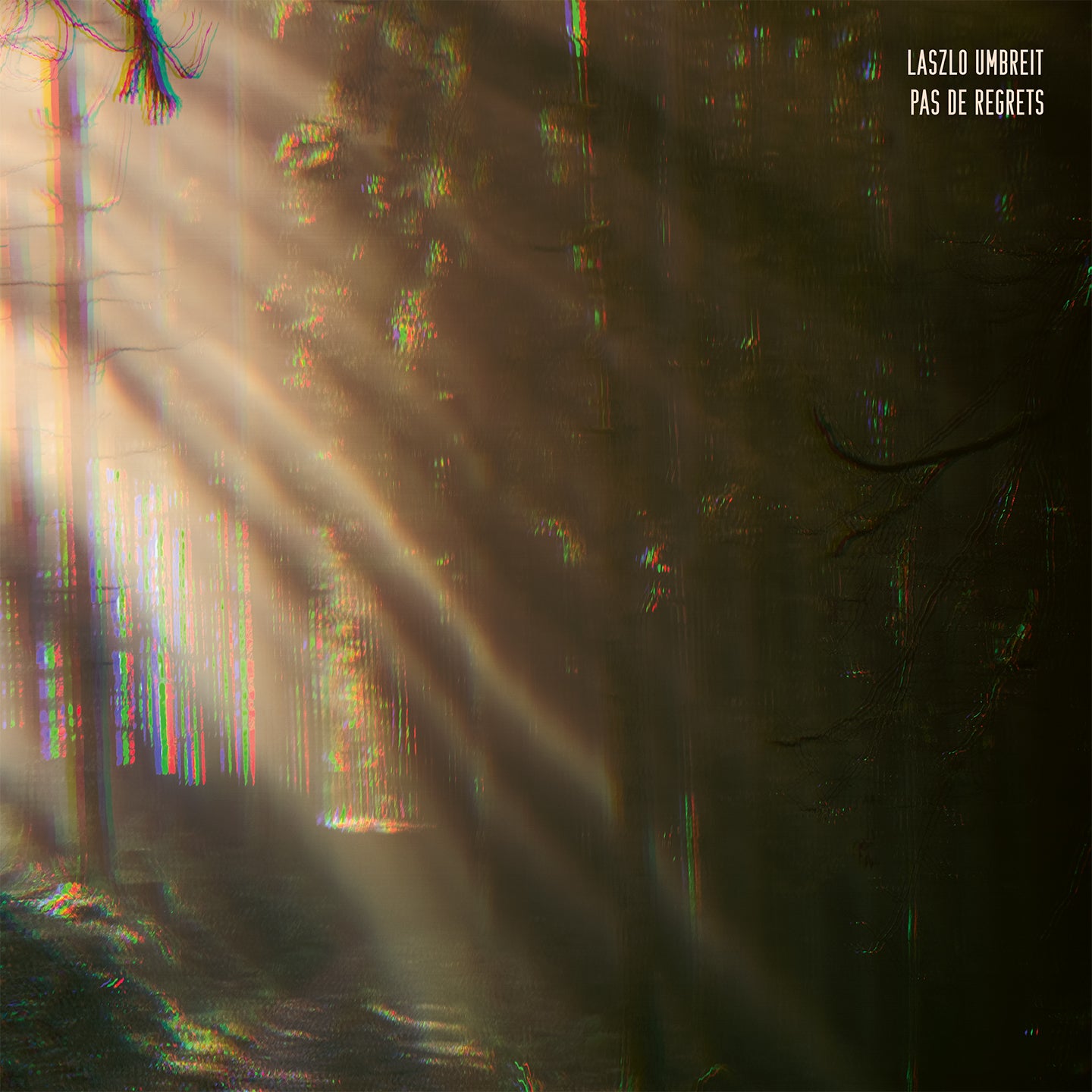 Pas de regrets - Front Cover