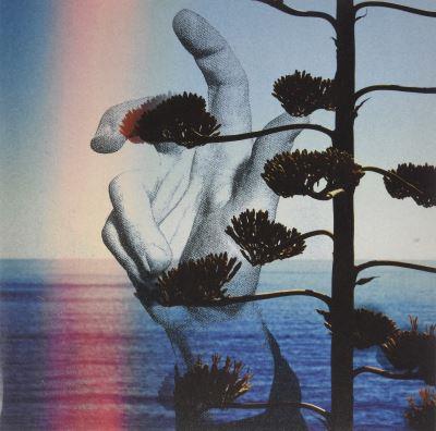 Alpha Whale - Front Cover