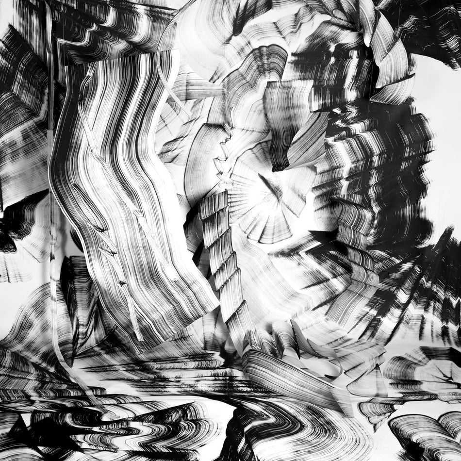 RIN (vinyl) - Front Cover