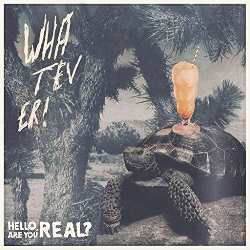 Hello, Are You Real ? / Aron D'Alesio - Front Cover