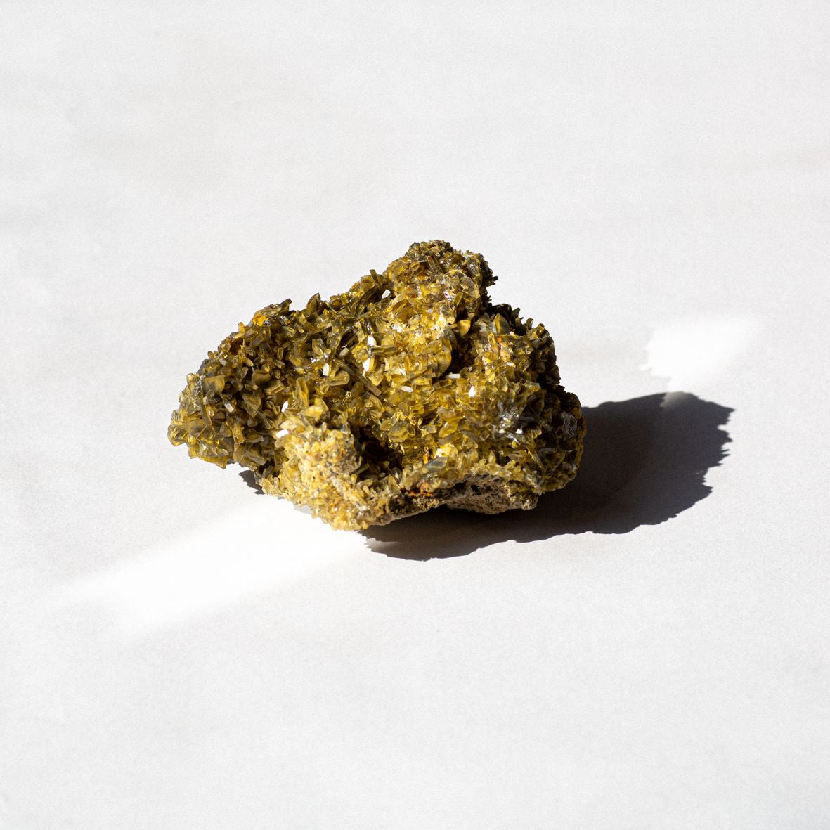 RISE & SHINE (vinyl) - Front Cover