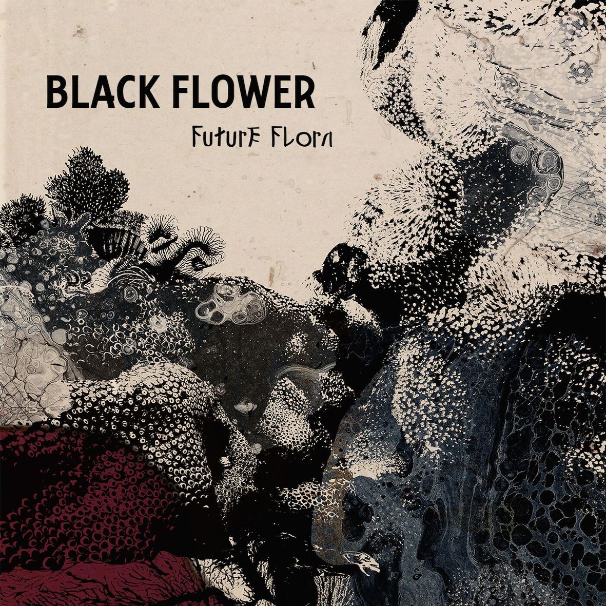 FUTURE FLORA (vinyl) - Front Cover