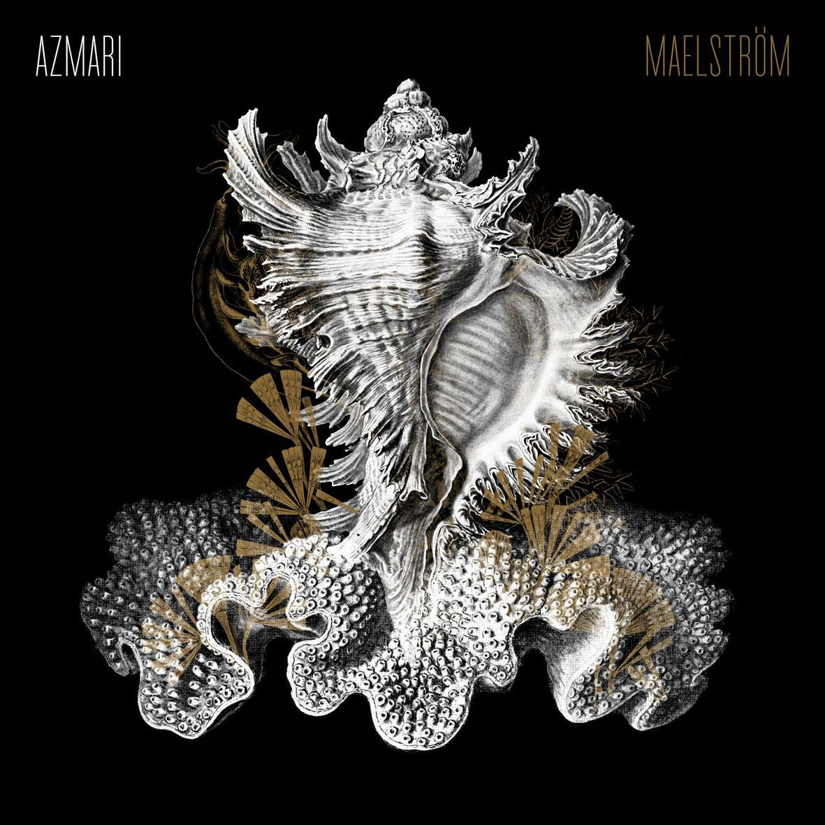 MAELSTROM (vinyl) - Front Cover