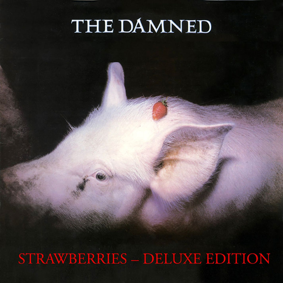 Strawberries - Front Cover