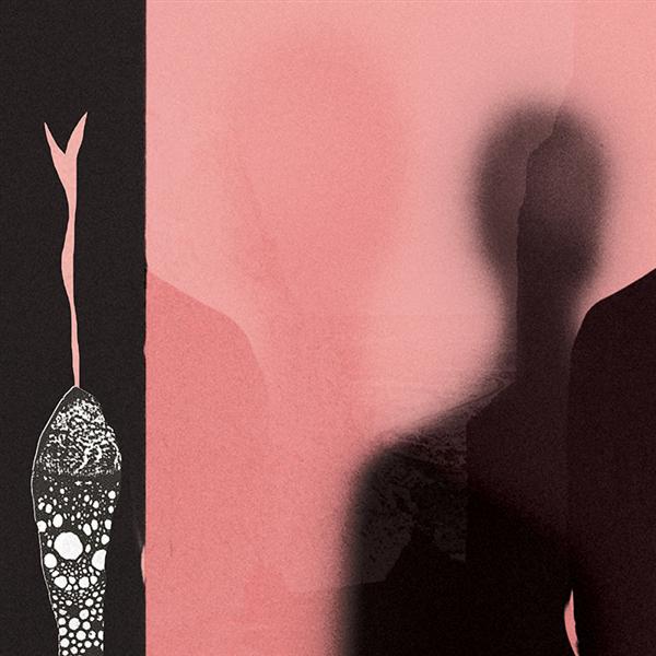 In the pink of condition - Front Cover