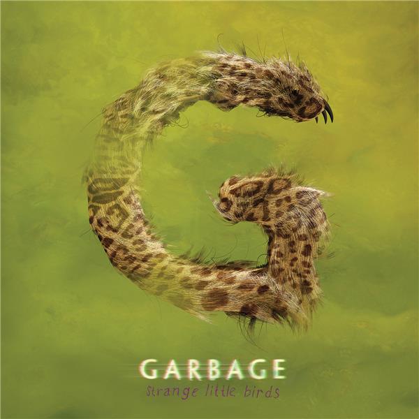 Strange little birds - Front Cover
