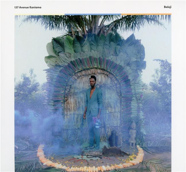137 avenue Kaniama - Front Cover