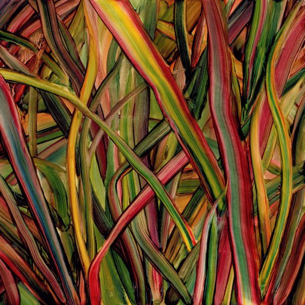 Where Wildness Grows - Front Cover