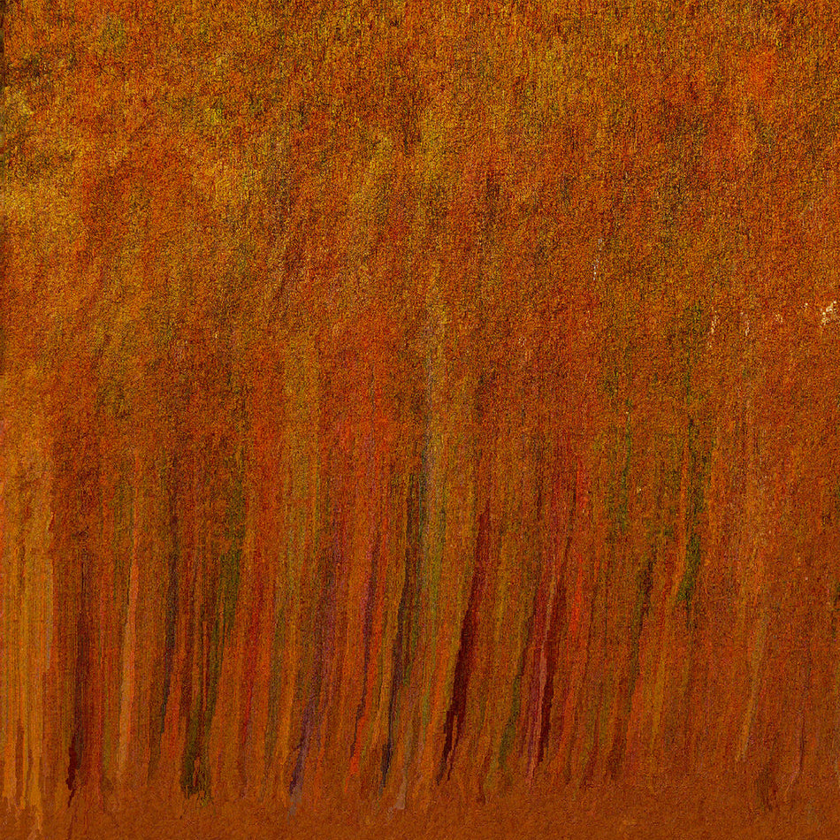 Towards the Center of Time and Surrounded by Spirits - Front Cover