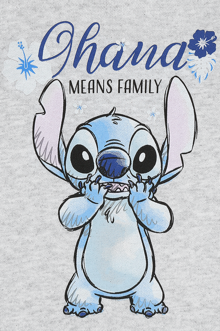 Sweat-shirt à capuche Disney de Lilo & Stitch - Ohana - S à XXL - pour Femme - gris - Lilo & Stitch - View 2