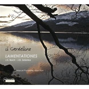 Lamentationes cantates - Front Cover