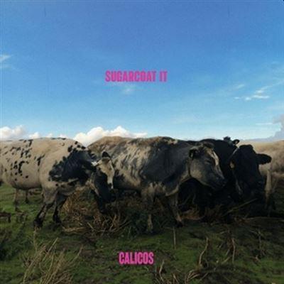 Sugarcoat It - Front Cover